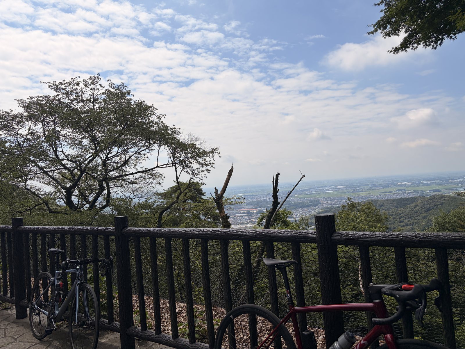 太平山の展望場所で並んだロードバイクと関東平野の眺め