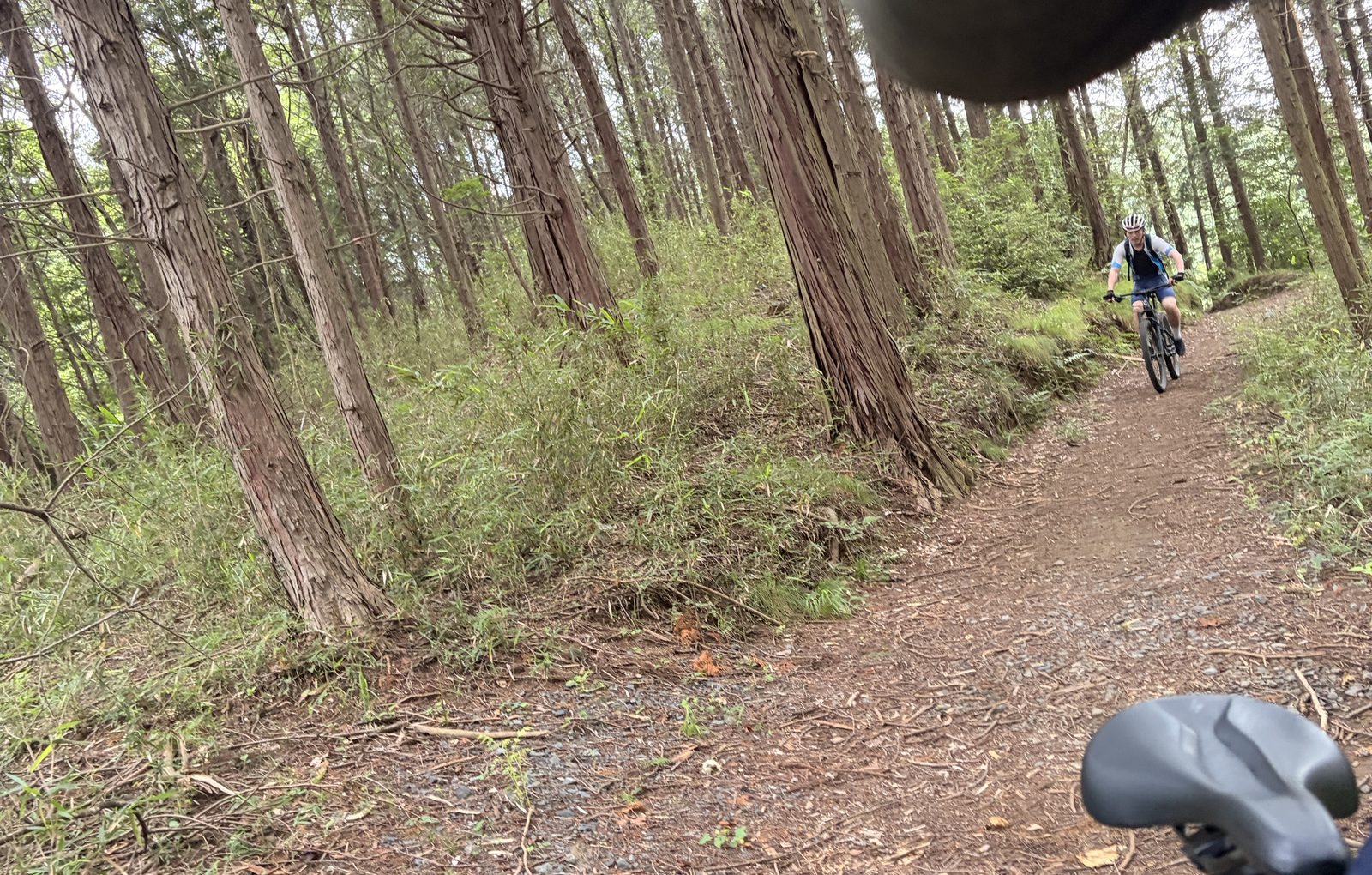 山のトレイルをMTBで走る友人