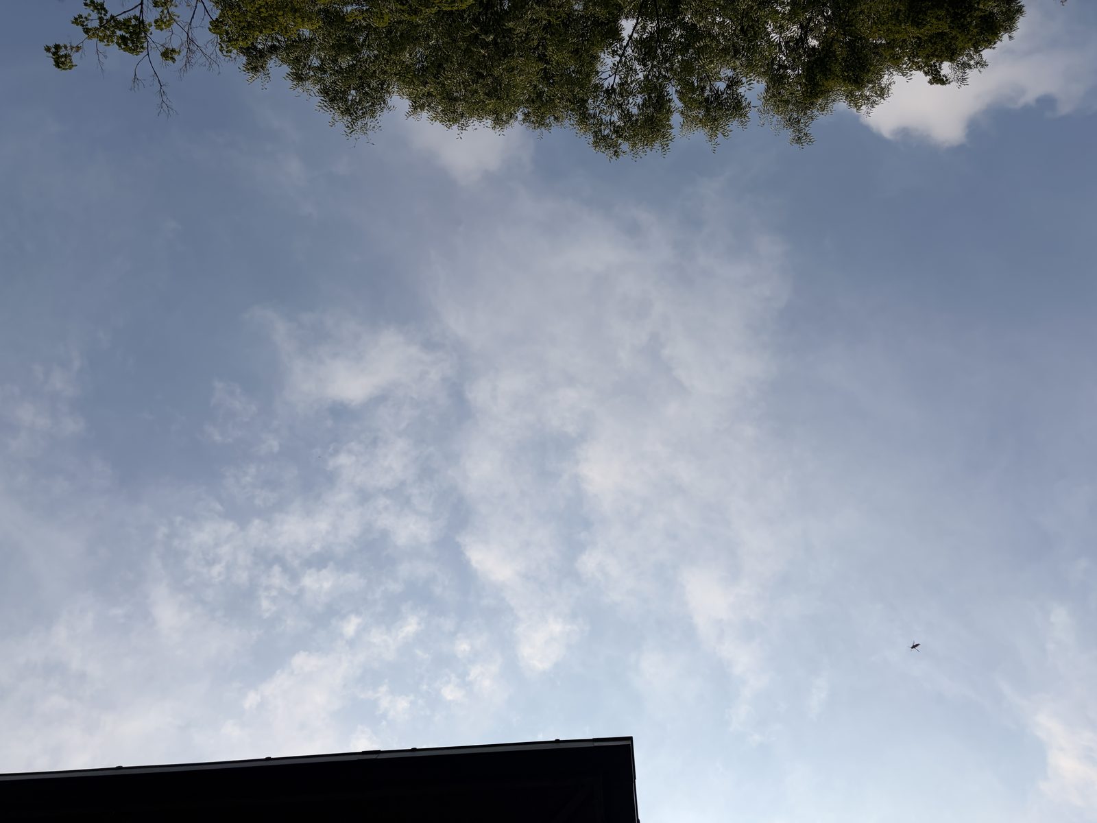 最高38℃を記録した夏ライド中の空