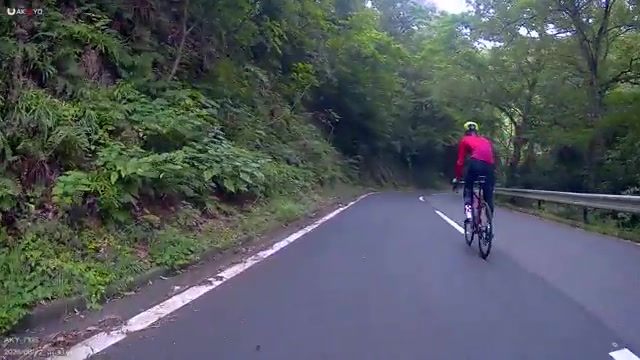 唐沢の登りを赤いジャージと黄緑のヘルメットで走る実験体Aを、後ろから撮った動画の一場面