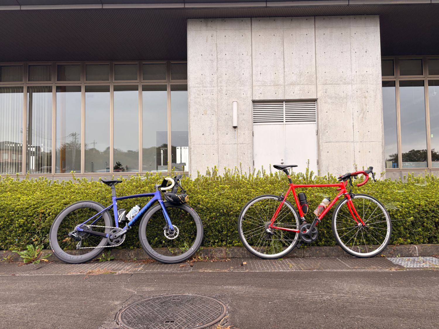 植え込みの前に並べて立てかけた青いロードバイクと赤いロードバイク